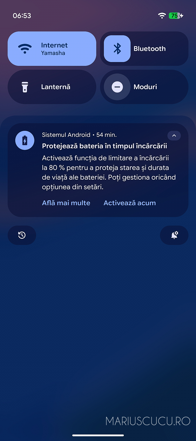 teste sintetice pixel 10 (1)