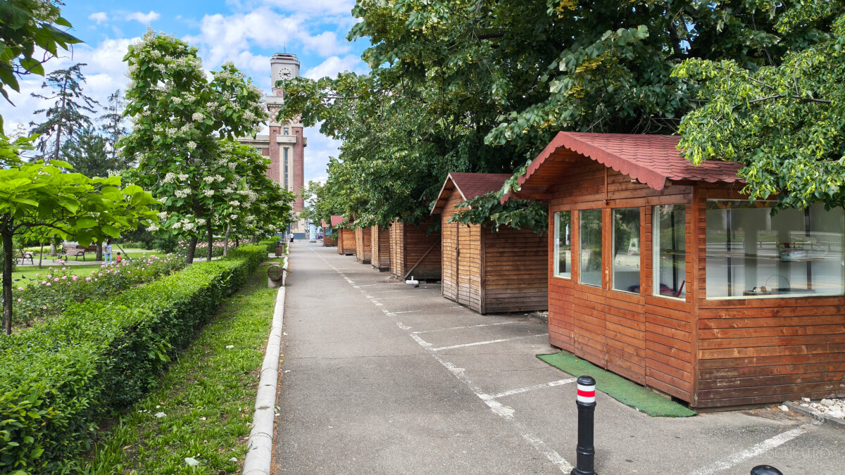 verdeata ploiesti