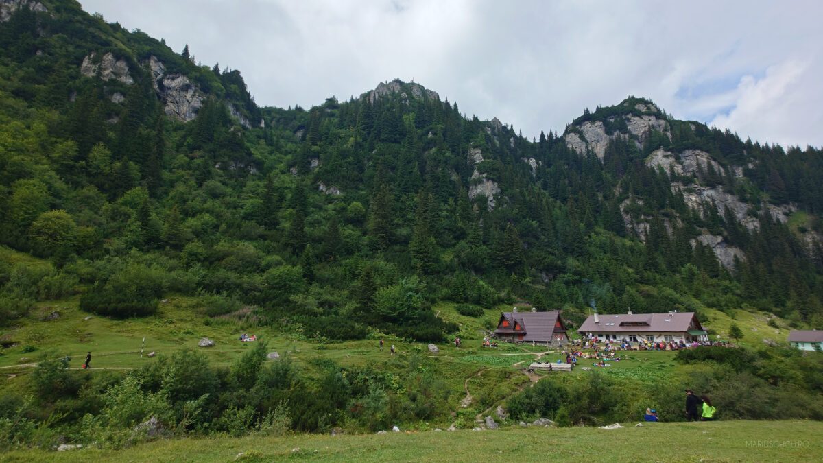peisaj malaiesti