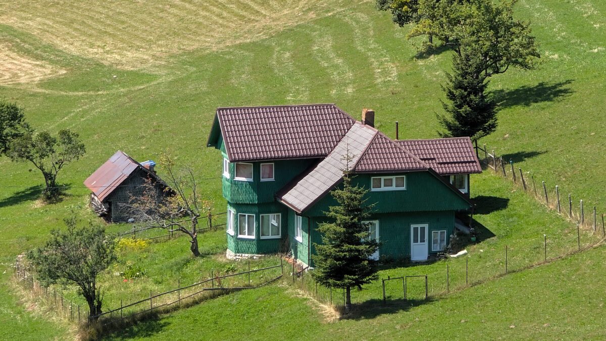 poza cheile gradistei