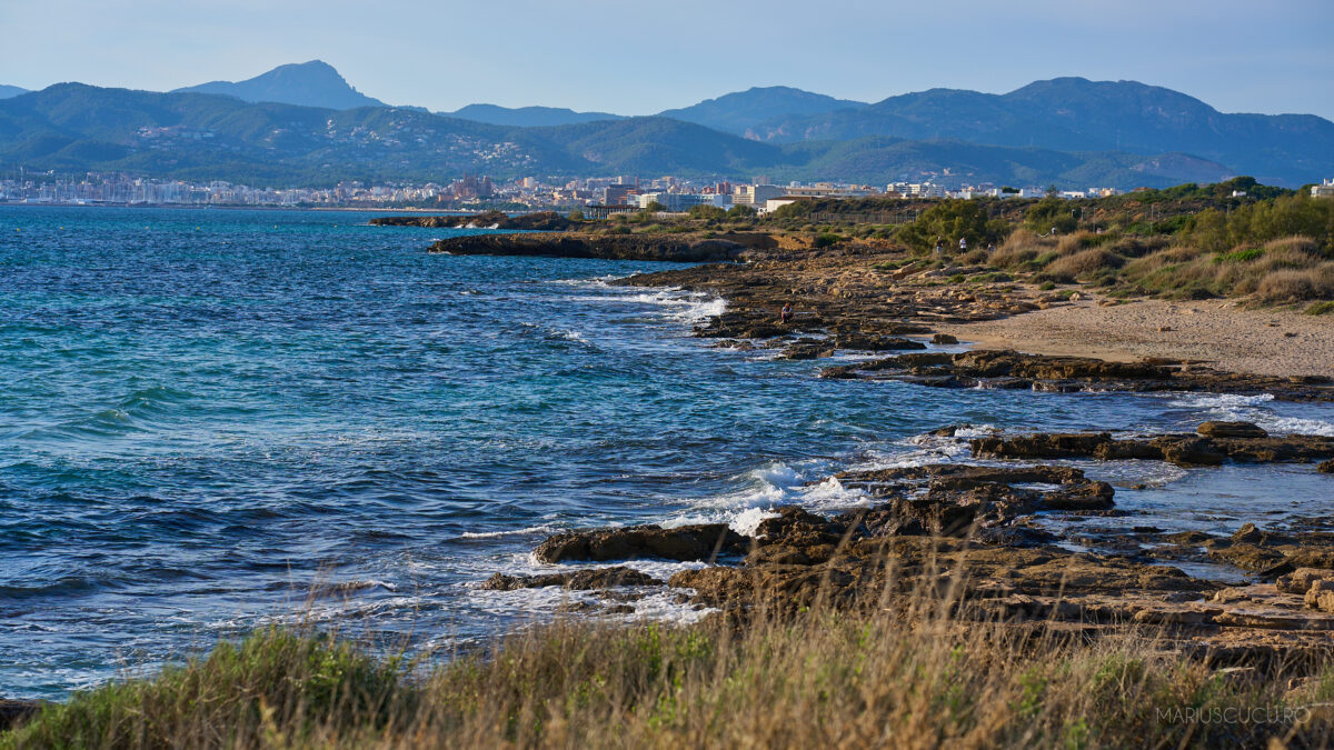 apa plaja mallorca sony
